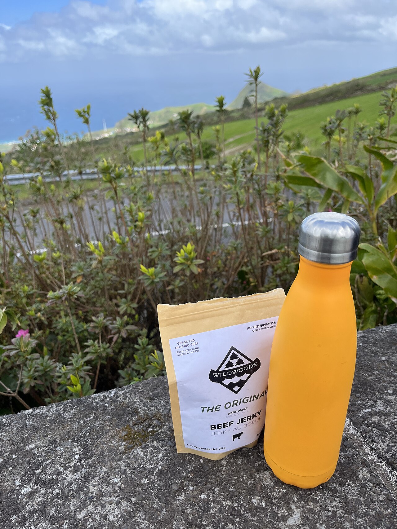 Insulated Water Bottle